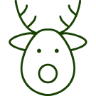 reindeer