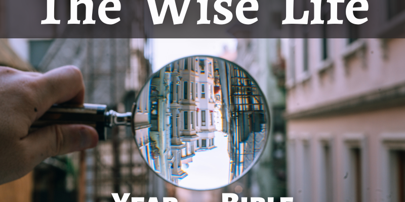 The Wise Life