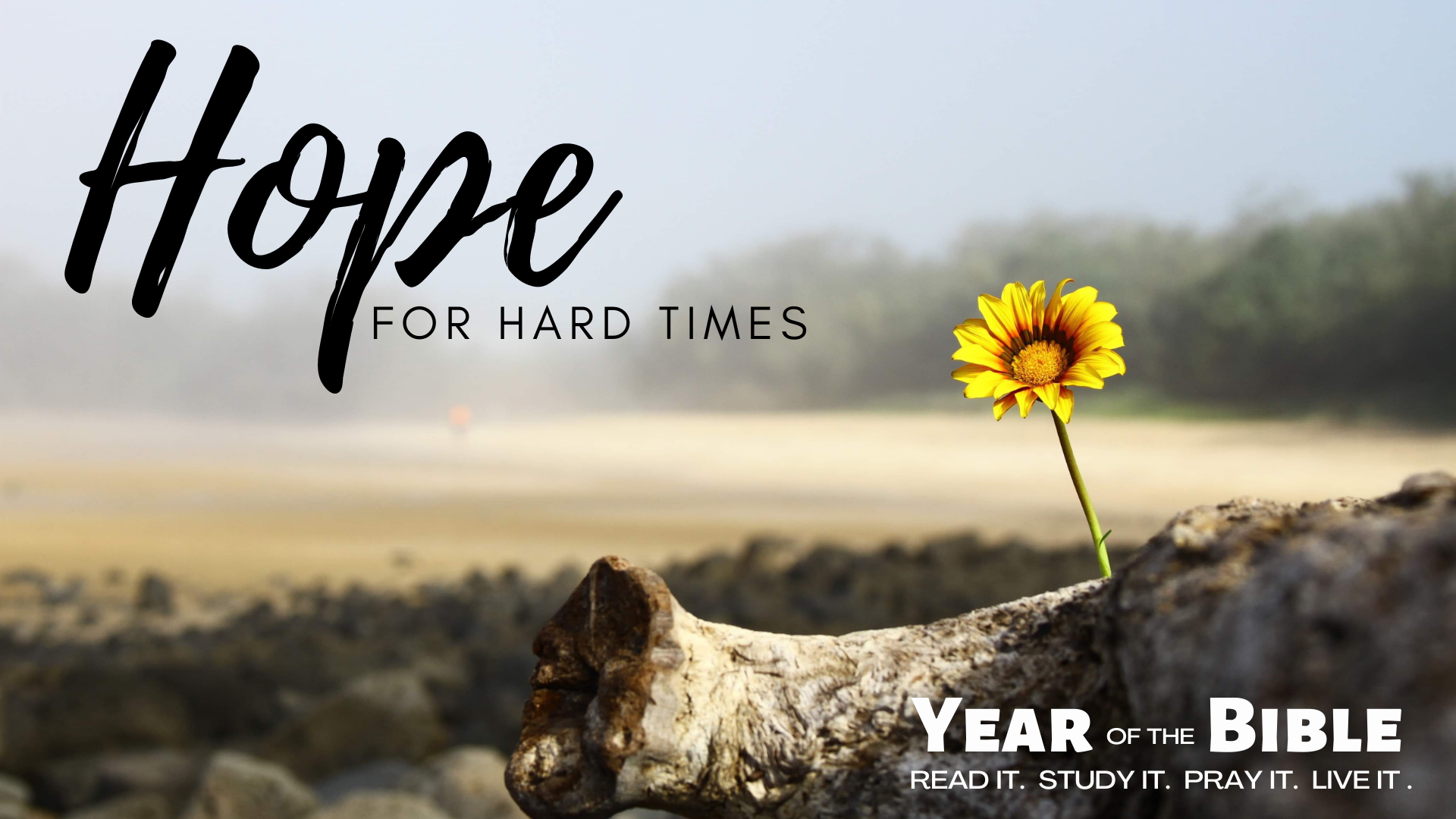 Hope for Hard Times
