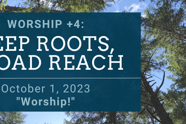 DEEP ROOTS, BROAD REACH: Worship!