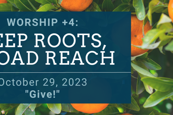 DEEP ROOTS, BROAD REACH: Give!