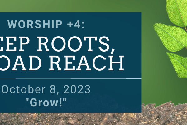 DEEP ROOTS, BROAD REACH: Grow!