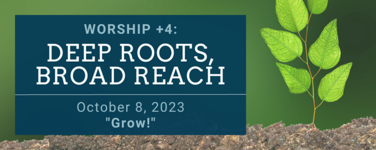 DEEP ROOTS, BROAD REACH: Grow!