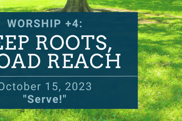 DEEP ROOTS, BROAD REACH: Serve!