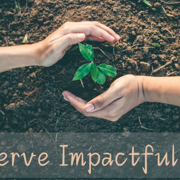 Serve Impactfully