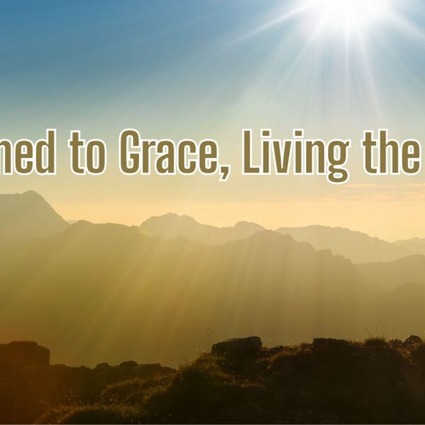 Awakened to Grace, Living the Vision