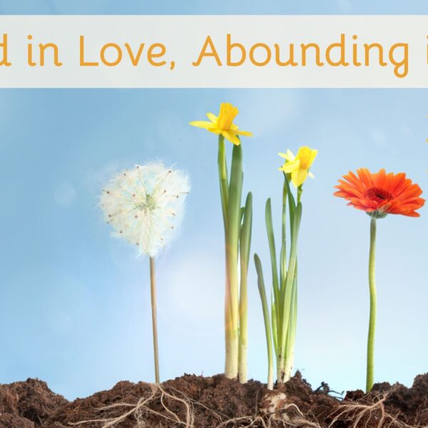 Rooted in Love, Abounding in Joy