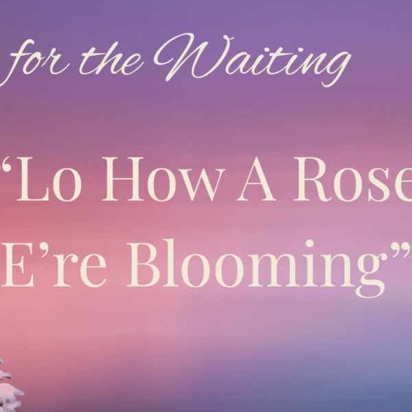 Songs for the Waiting: Lo, How a Rose E’er Blooming