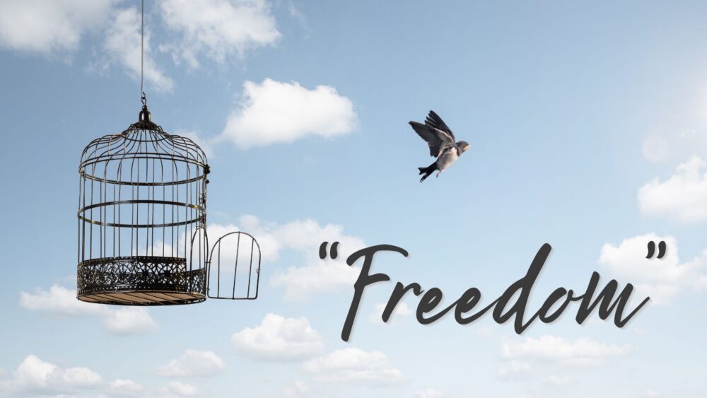 Freedom