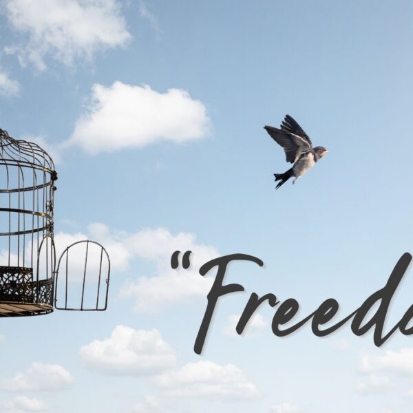 Freedom