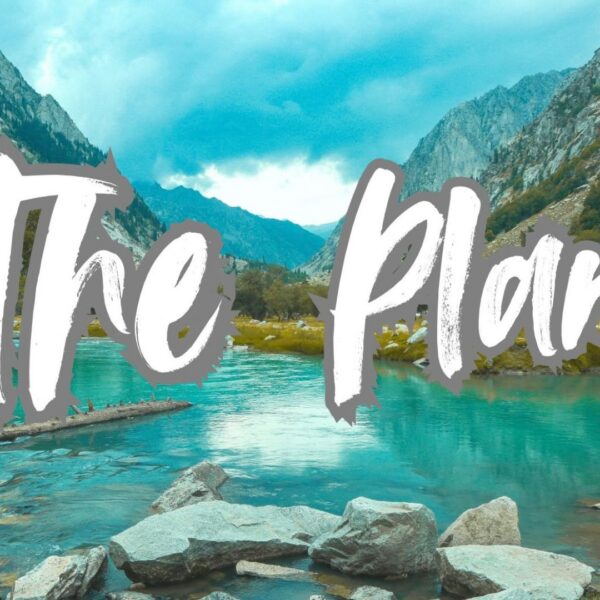 The Plan